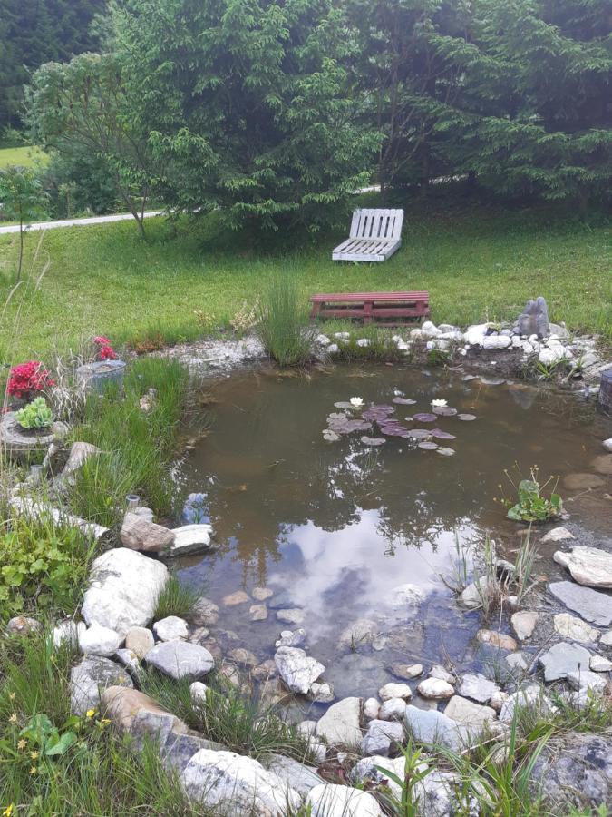 Apartma Lupis Podvolovljek Buitenkant foto