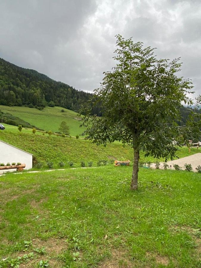 Apartma Lupis Podvolovljek Buitenkant foto